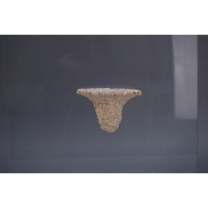 Magnetic-Shelf M
