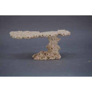 Plateu / Anvil S