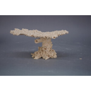 Plateu / Anvil M