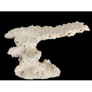Plateu / Anvil L