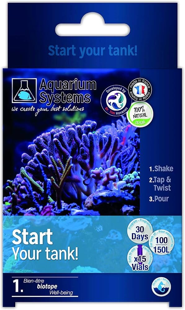 PROGRAMM  START UP MARINE
