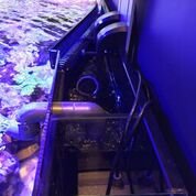 D-D Reef-Pro 1800 BLACK GLOSS -  Aquariumsystem