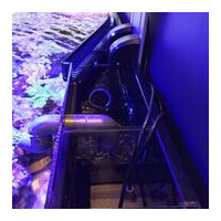 D-D Reef-Pro 1800 ANTHRACITE GLOSS -  Aquariumsystem