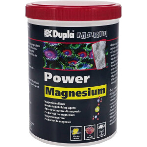 Power Magnesium, 800 g