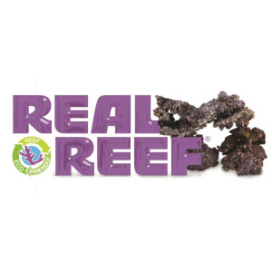 Real Reef Rock - Arches