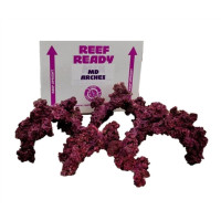 Real Reef Rock - Arches