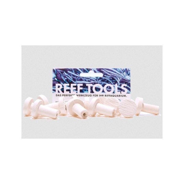 Reef Disc Mini 2,0 cm Ø - Mini Ablegersteine - 12stk / pcs