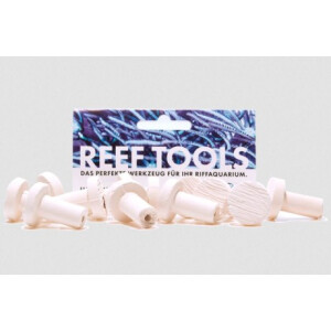 Reef Disc Mini 2,0 cm Ø - Mini Ablegersteine -...