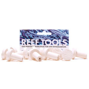 Reef Disc Mini 2,0 cm Ø - Mini Ablegersteine -...