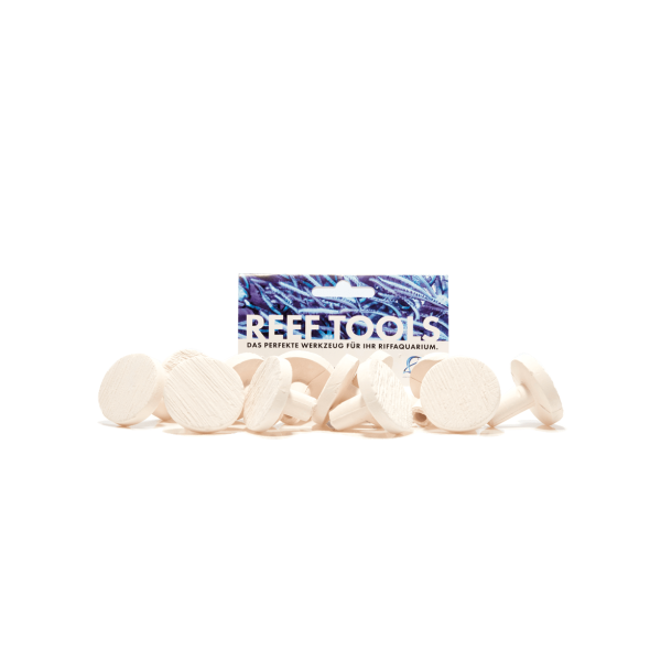 Reef Disc Maxi 3,3 cm Ø - Maxi Ablegersteine - 6stk / pcs