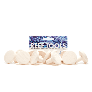 Reef Disc Maxi 3,3 cm Ø - Maxi Ablegersteine -...
