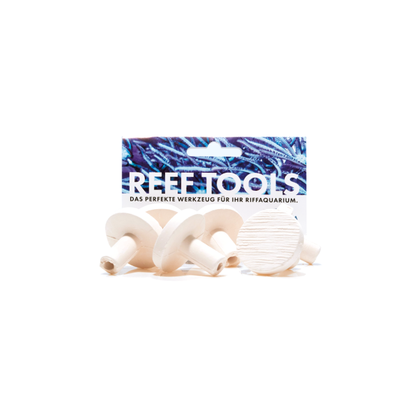 Reef Disc Maxi 3,3 cm Ø - Maxi Ablegersteine - 50stk / pcs