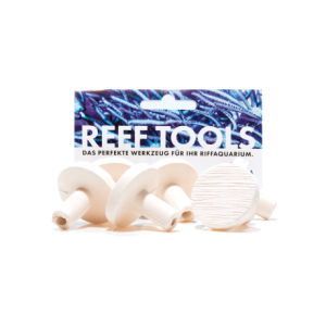 Reef Disc Maxi 3,3 cm Ø - Maxi Ablegersteine -...