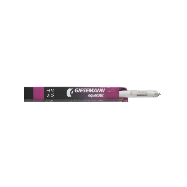 Giesemann Powerchrome super purple - weißviolett  24W