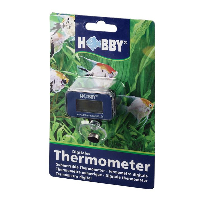 Digitales Thermometer  SB box