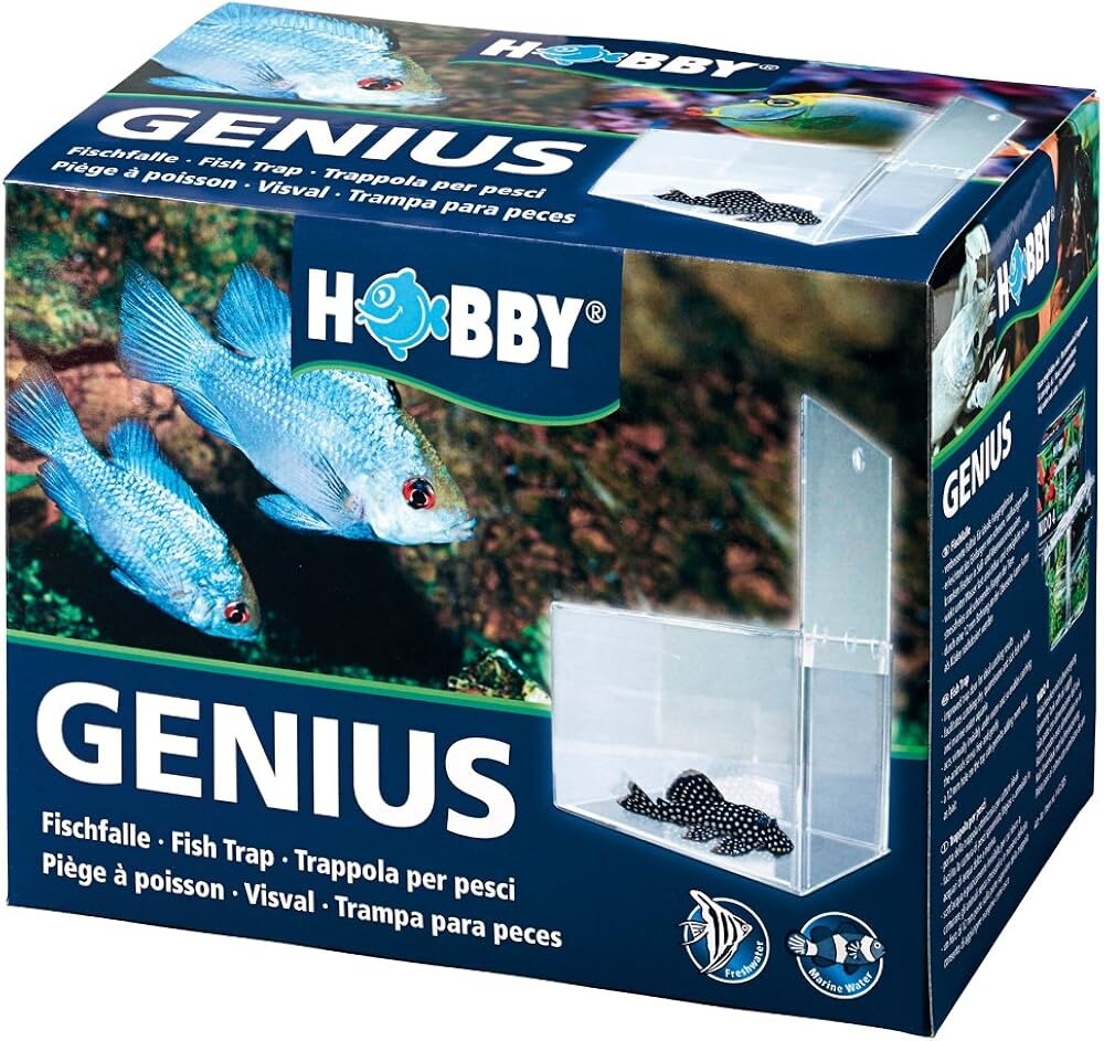 Genius, Fischfalle  21 x 13 x 15 cm box