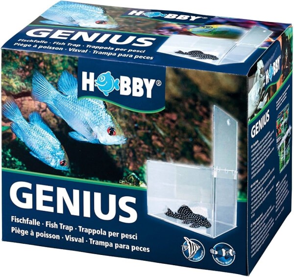 Genius, Fischfalle  21 x 13 x 15 cm