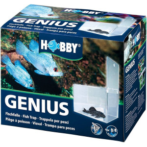 Genius, Fischfalle  21 x 13 x 15 cm