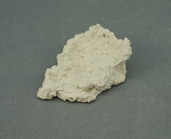Muschelhalter 1 Stk.