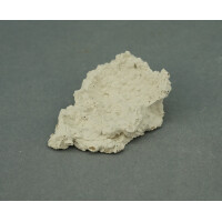 Muschelhalter 1 Stk.