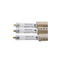 Coral Light 24 W