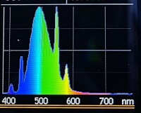 Great Barrier Turqioise 24 Watt