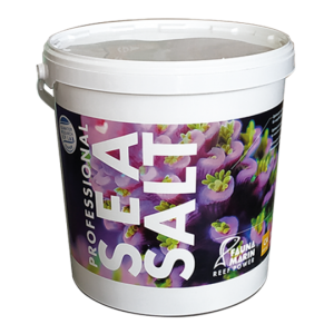 Professional Sea Salt 25 kg - Eimer
