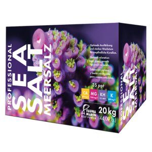 Professional Sea Salt 20 kg - Karton