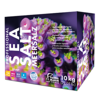 Professional Sea Salt 10 kg - Karton