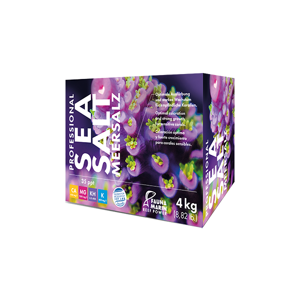 Professional Sea Salt 4 kg - Karton