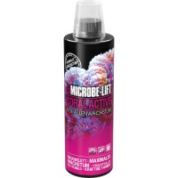 Coral Active - Korallenwachstum und Farbenpracht (118ml.)