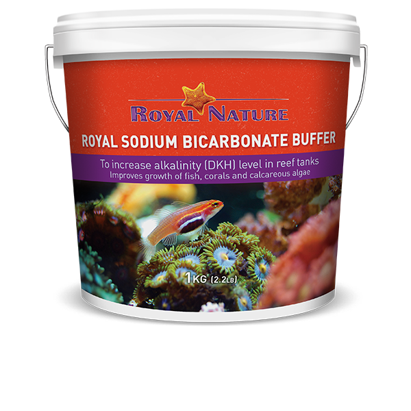 Royal Sodium Bicarbonate Buffer 1 kg