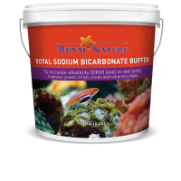 Royal Sodium Bicarbonate Buffer 1 kg