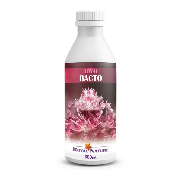 Royal Bacto 500 ml