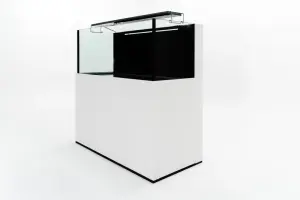 AP-Reeftank Exklusiv Systemaquarium 540 Liter