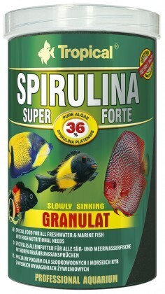 Tropical-Futter Super Spirulina Forte Futter/Granulat 250 ml