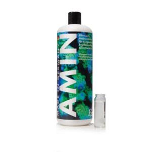 Fauna Marin AMIN